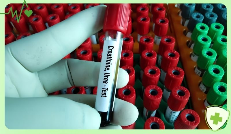 Người có độc tố, ure, creatinine tăng cao trong máu Người có độc tố, ure, creatinine tăng cao trong máu
