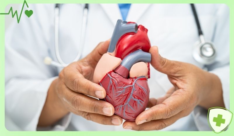 Lọc máu xấu hỗ trợ điều trị bệnh tim mạch