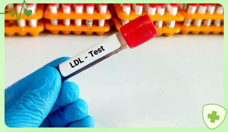 Người có lượng cholesterol xấu (LDL)