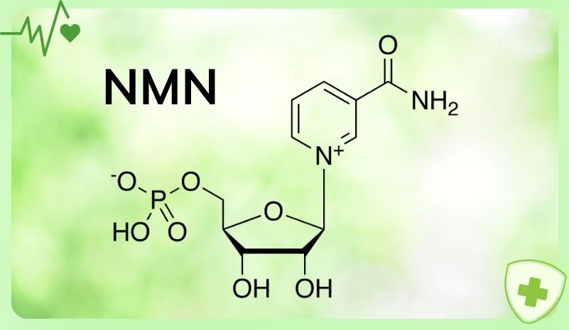 Khám phá mua NMN ở đâu uy tín Khám phá mua NMN ở đâu uy tín